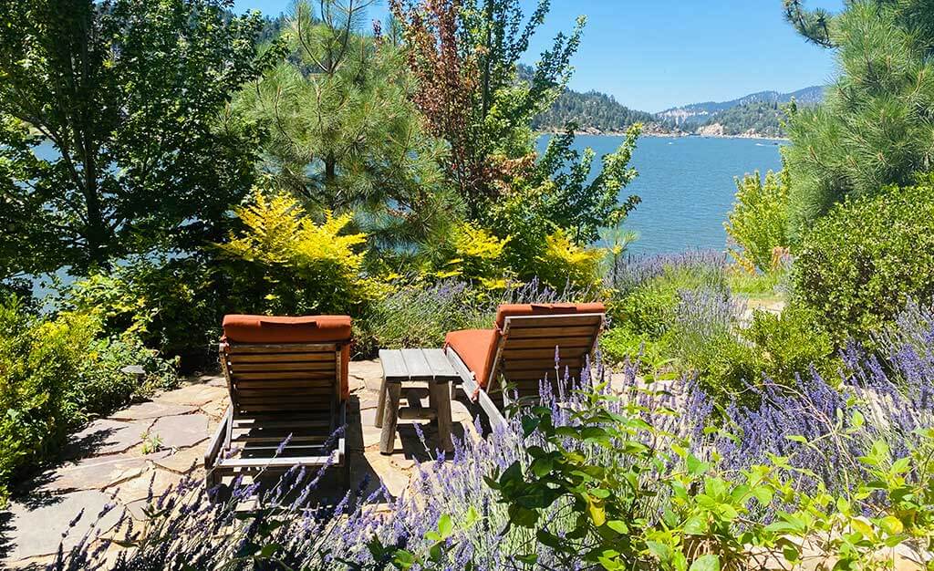 big-bear-carousel-IMG_9025