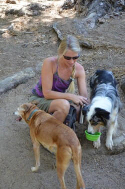 Inspiration Point: Dogs Inspiration Point: Dogs