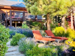 Inspiration Point: First Landing, Chairs (2) Inspiration Point: First Landing, Chairs (2)