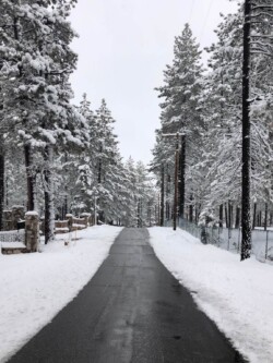 Inspiration Point: Waterview Road in Winter Inspiration Point: Waterview Road in Winter