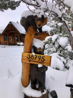 Inspiration Point: Front with bear in snow Inspiration Point: Front with bear in snow